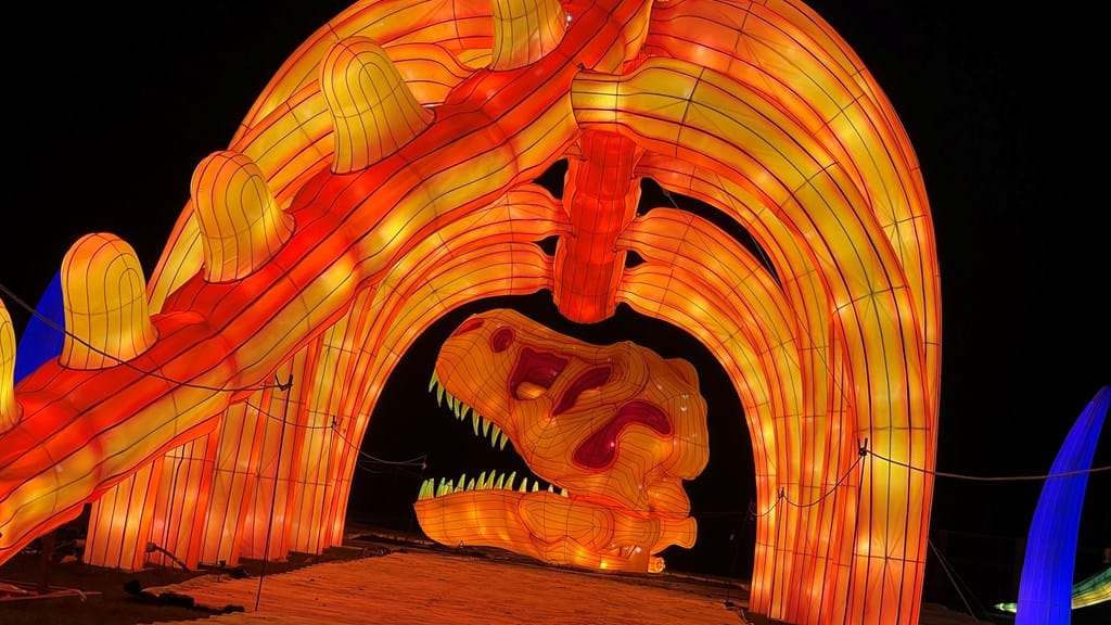 Winter Illuminations At Yorkshire Wildlife Park