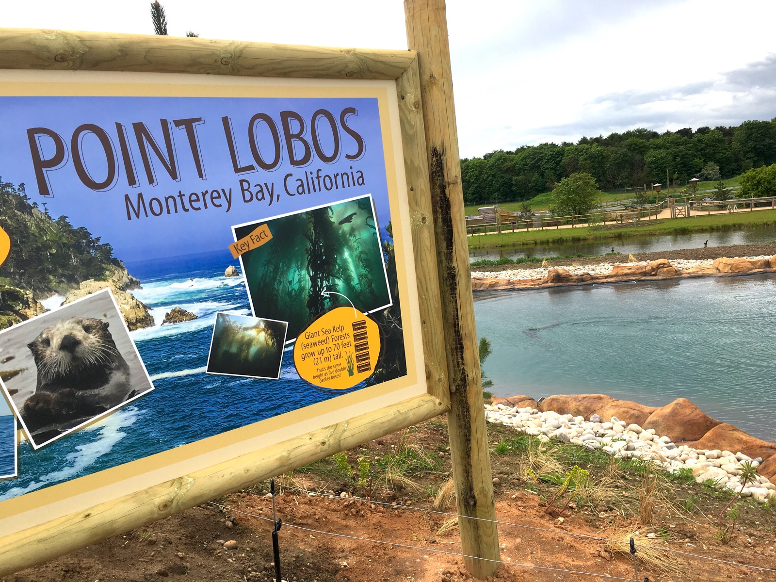 Point Lobos Sign