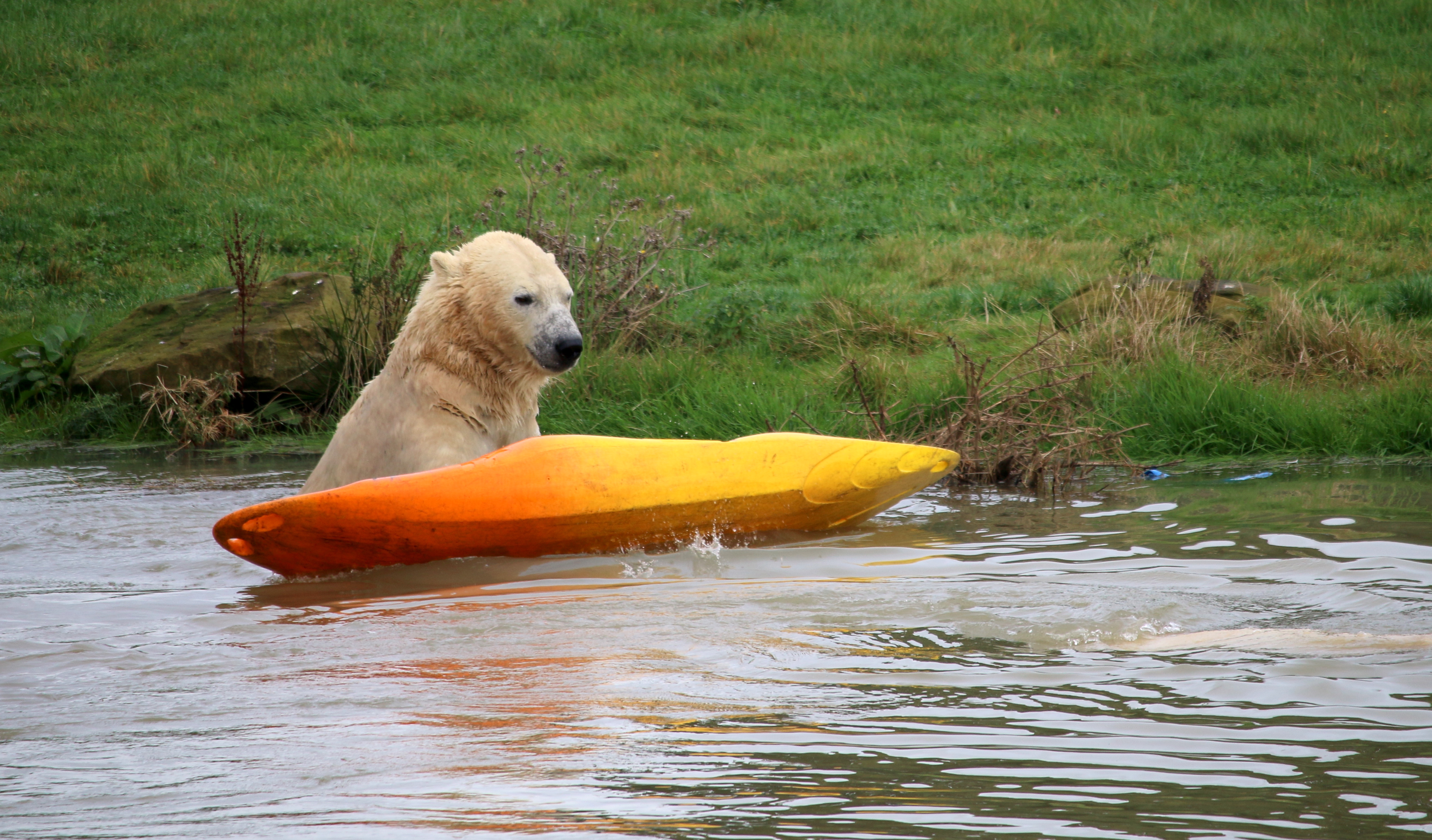 Plan Your Visit | Yorkshire Wildlife Park