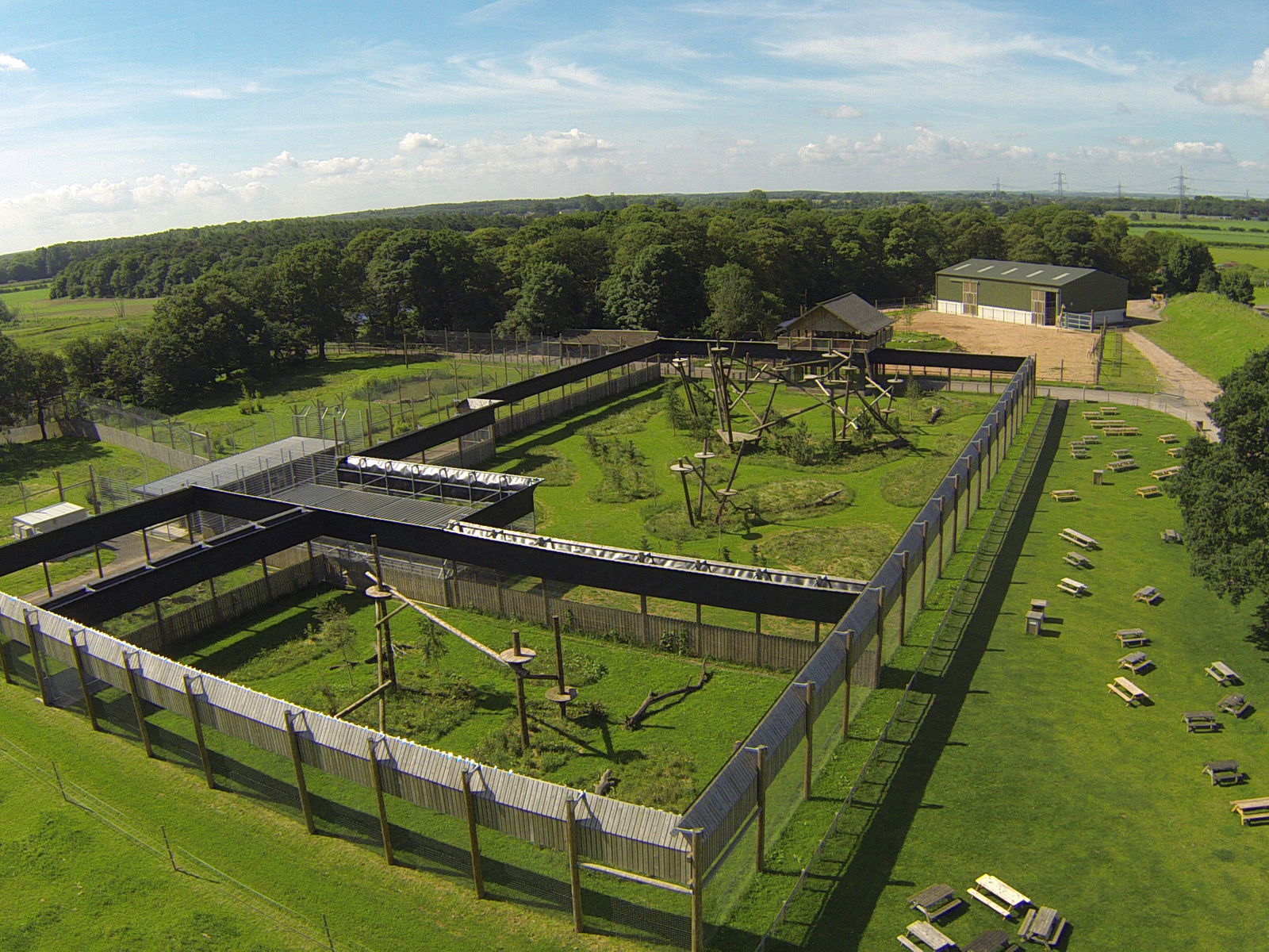 Leopard Aerial View High Enclosure