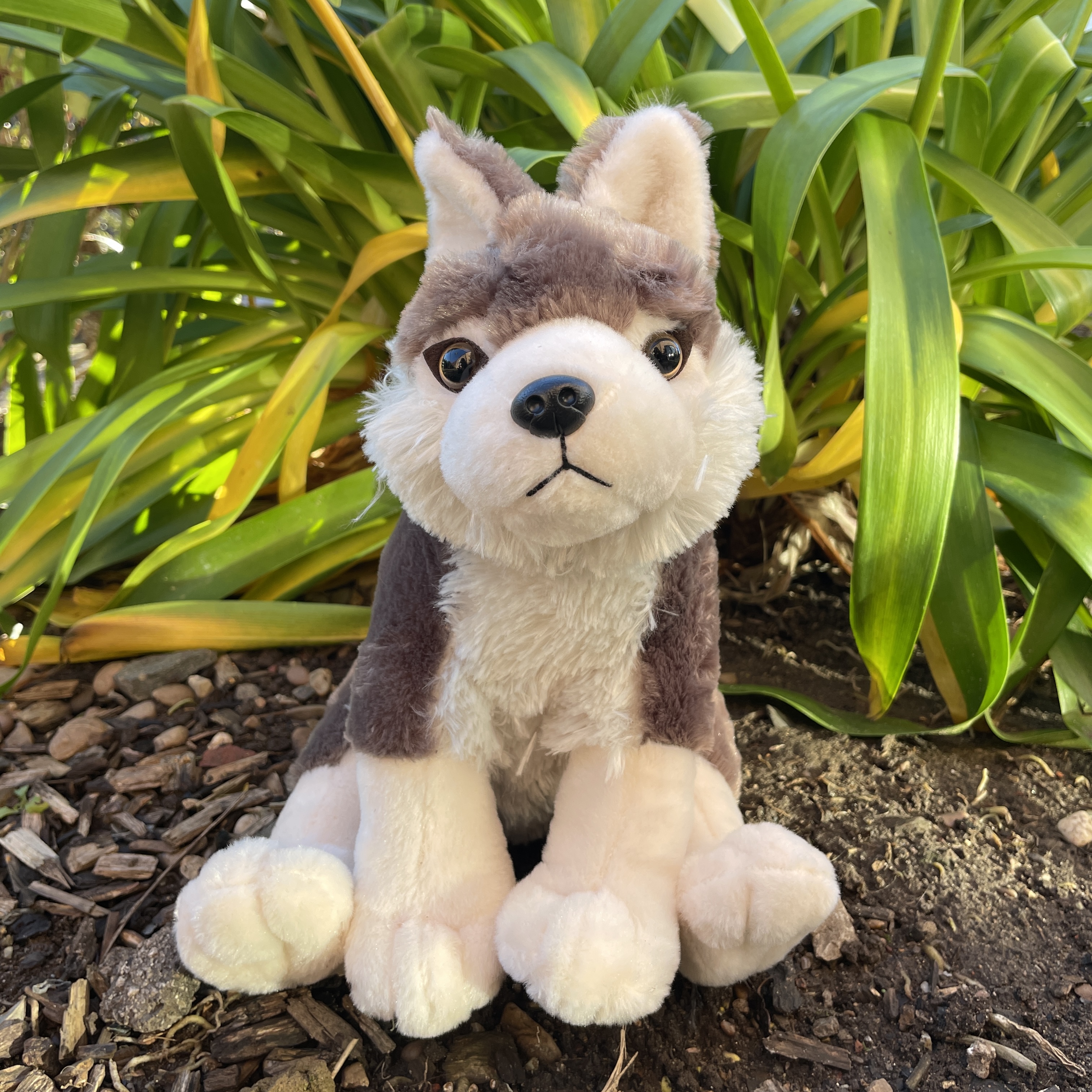 Wolf sale cuddly toy