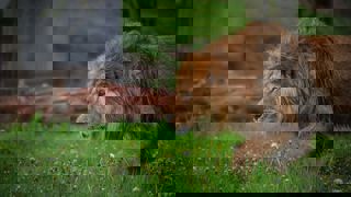 Img 1564 (1)