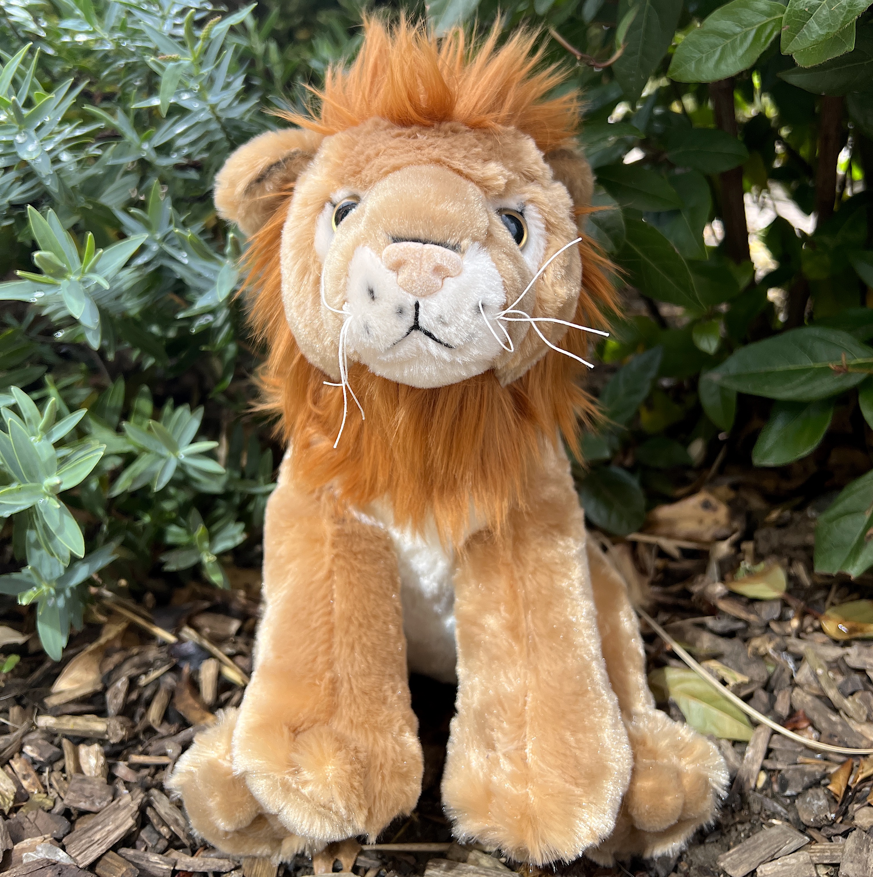 Big lion shop stuffed animal