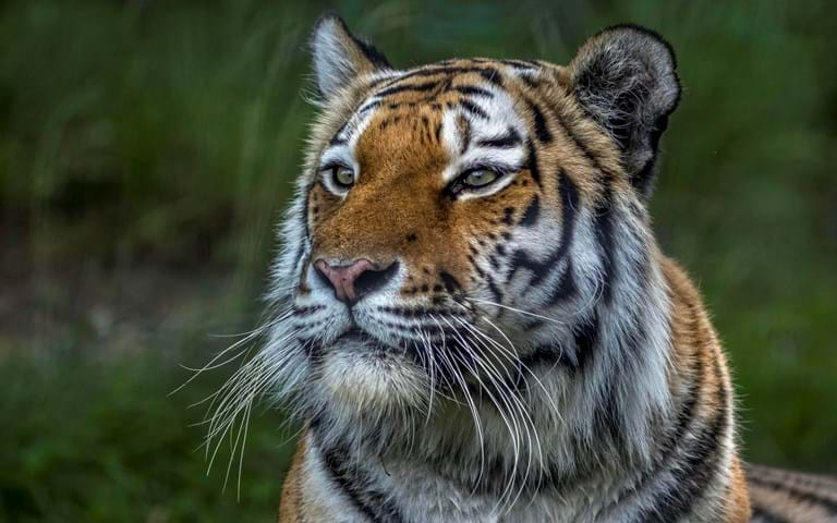 Higher & Further Education Visits to Yorkshire Wildlife Park