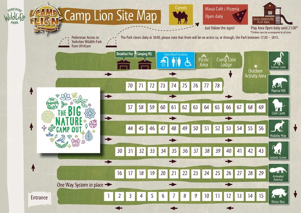 Ywp 2510 Animal Guyz Camp Lion Map Page 0001