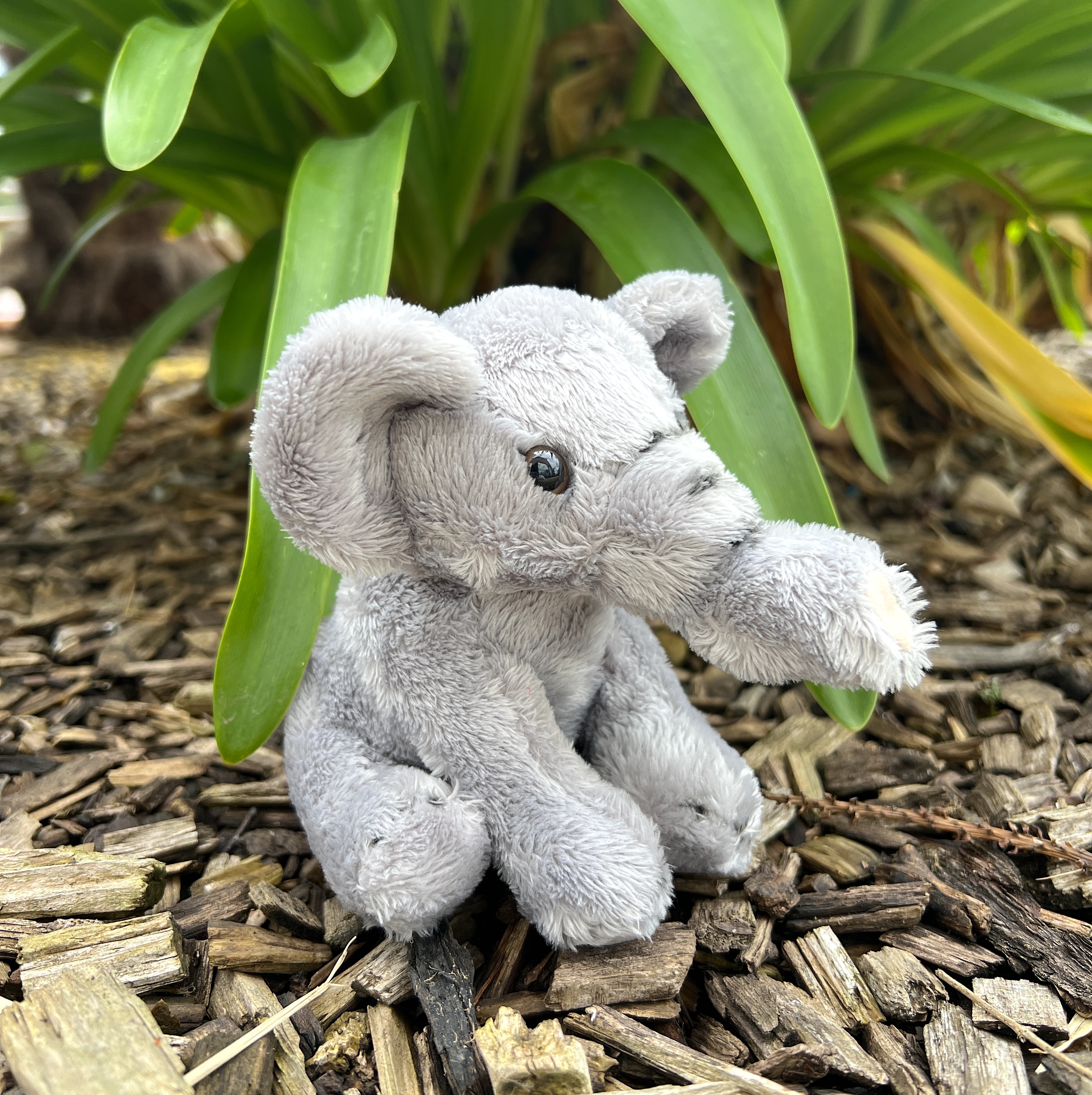 Tiny elephant sales stuffed animal