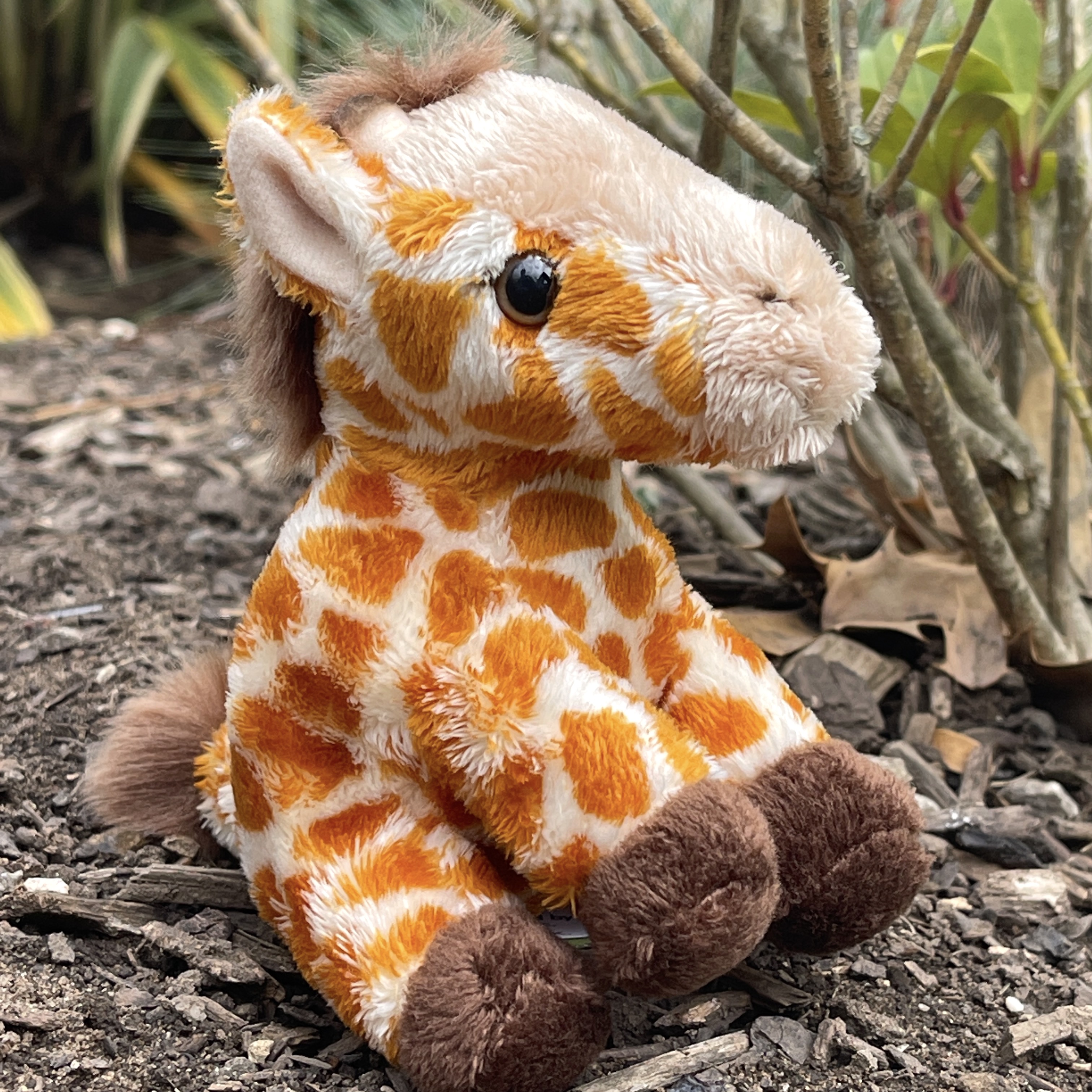 Small 2024 giraffe toy