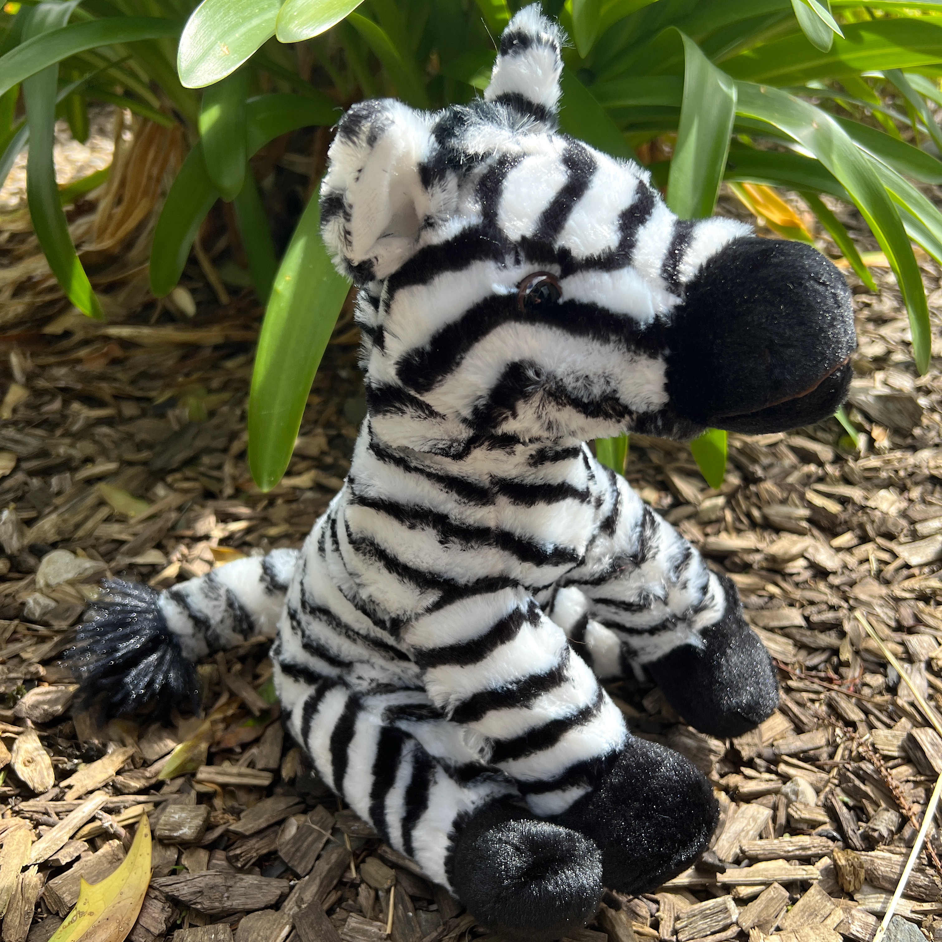 Zebra cuddly clearance toy