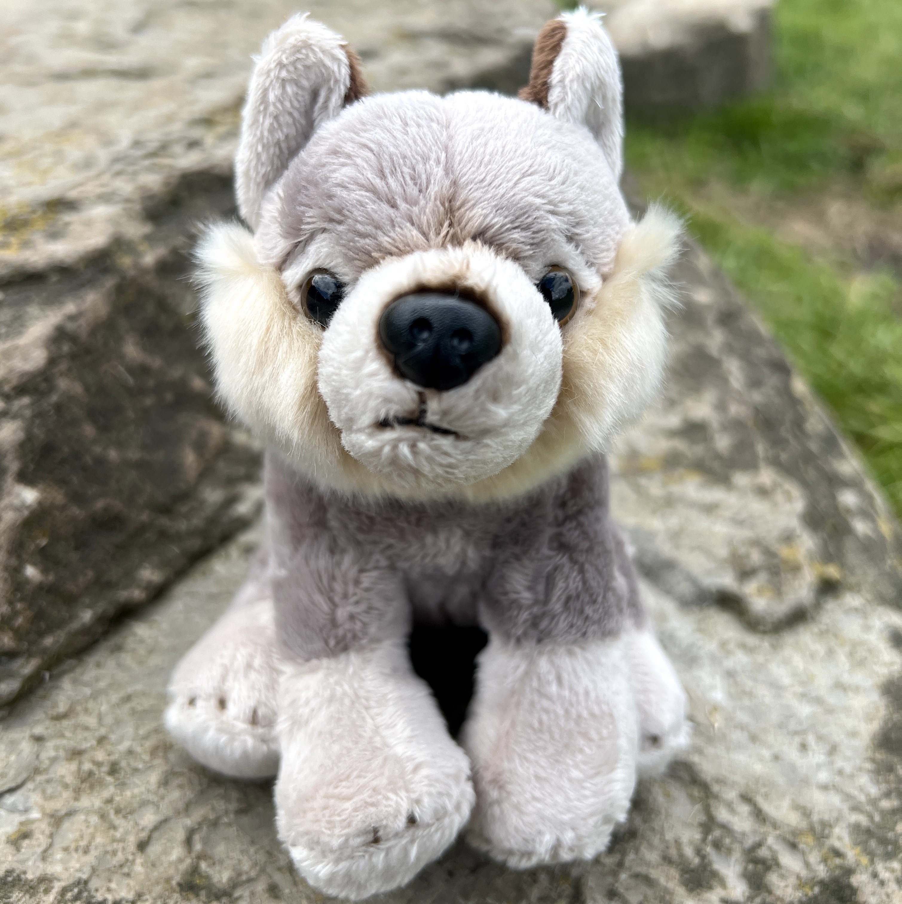 Small deals wolf plush