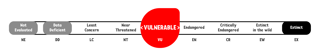 Vulnerable