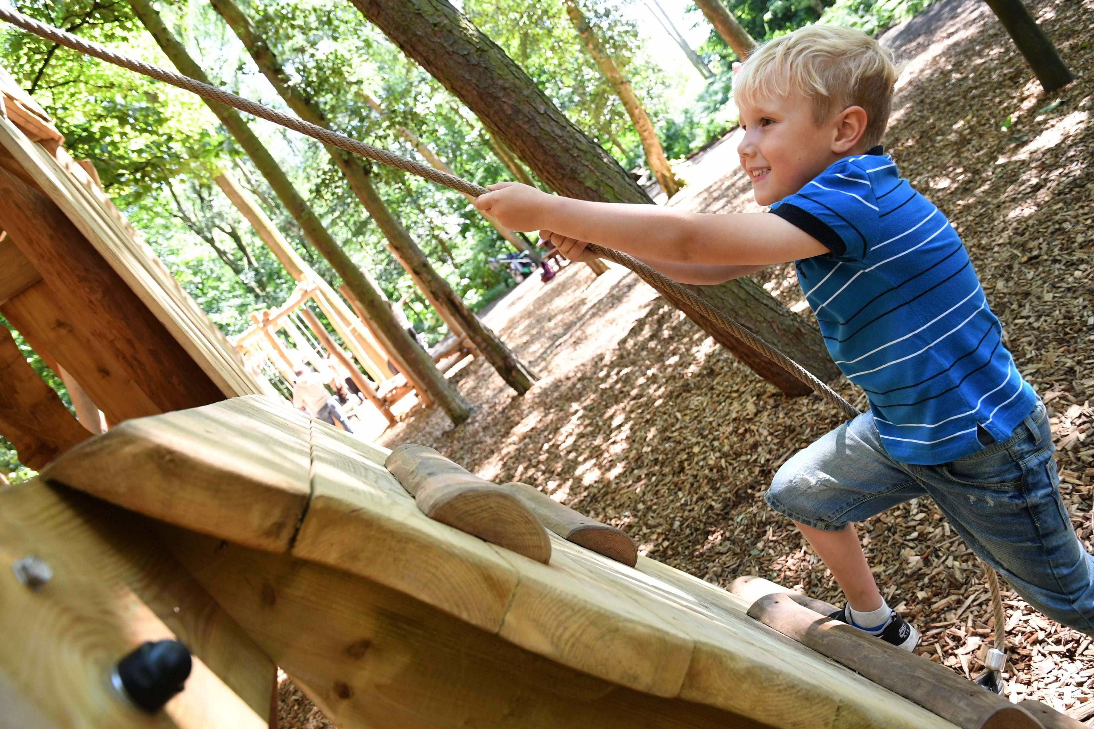 Jungle Lookout | Outdoor Play Area | Yorkshire Wildlife Park