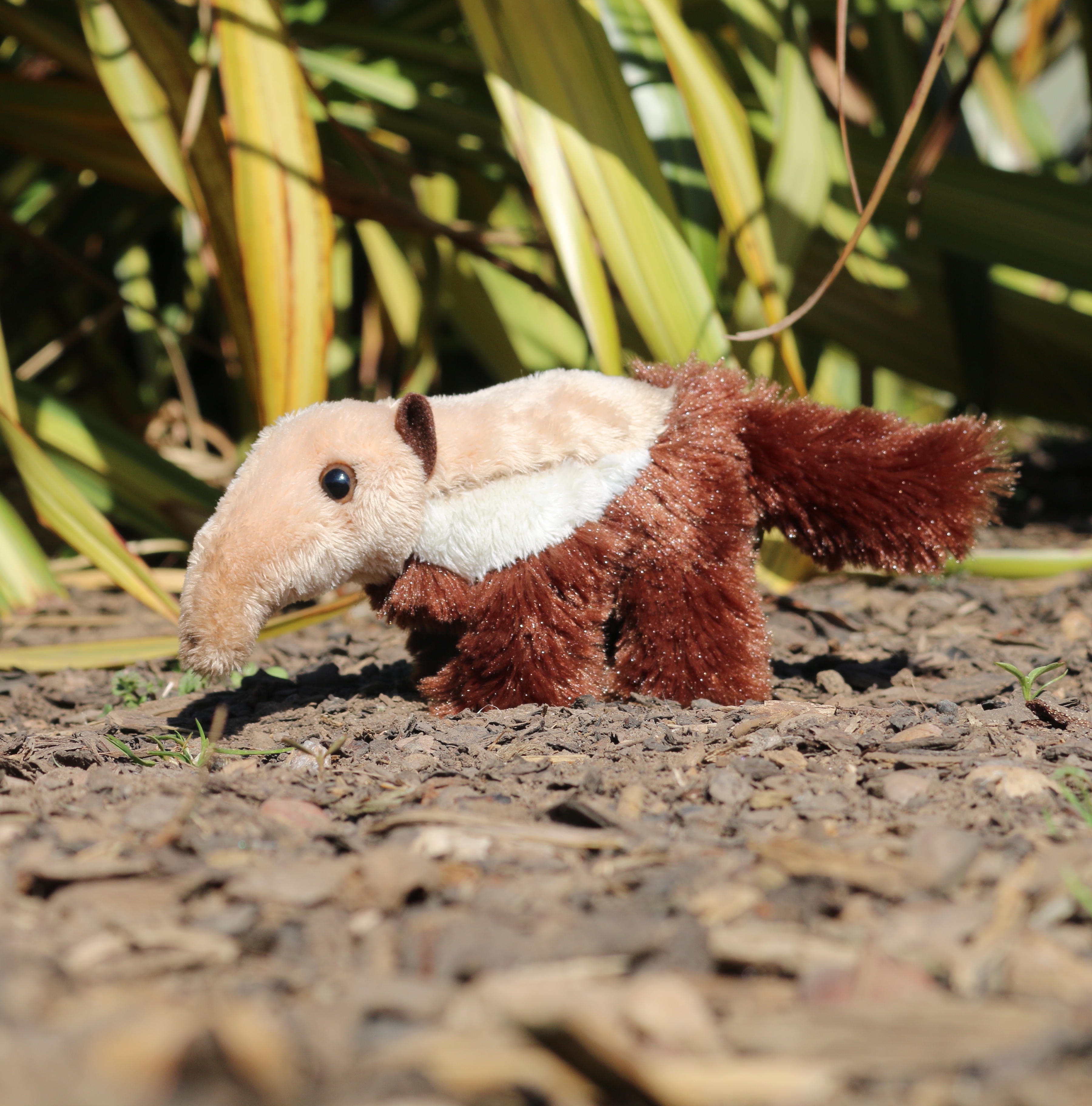 Anteater soft sales toy