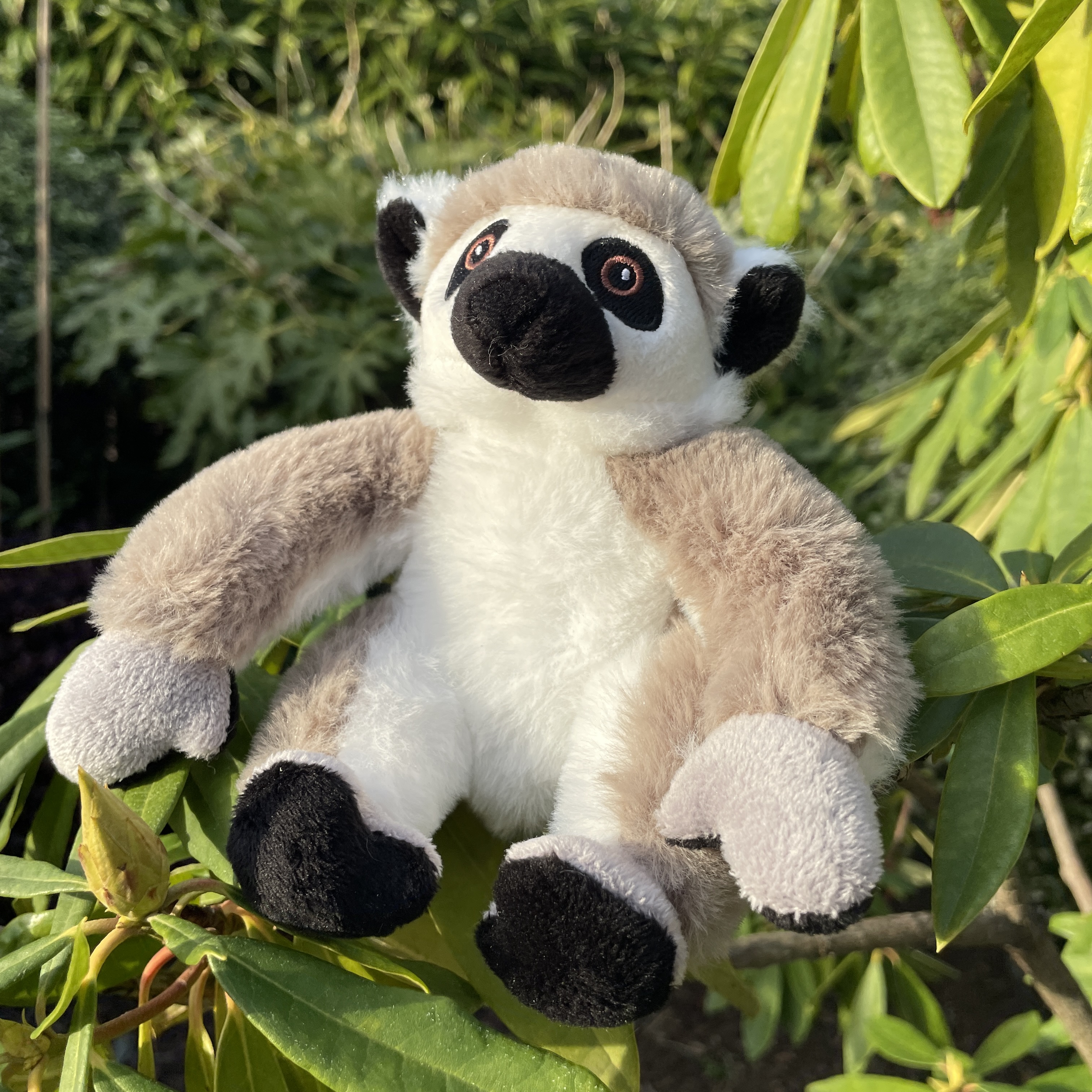 Ring tailed lemur clearance plush