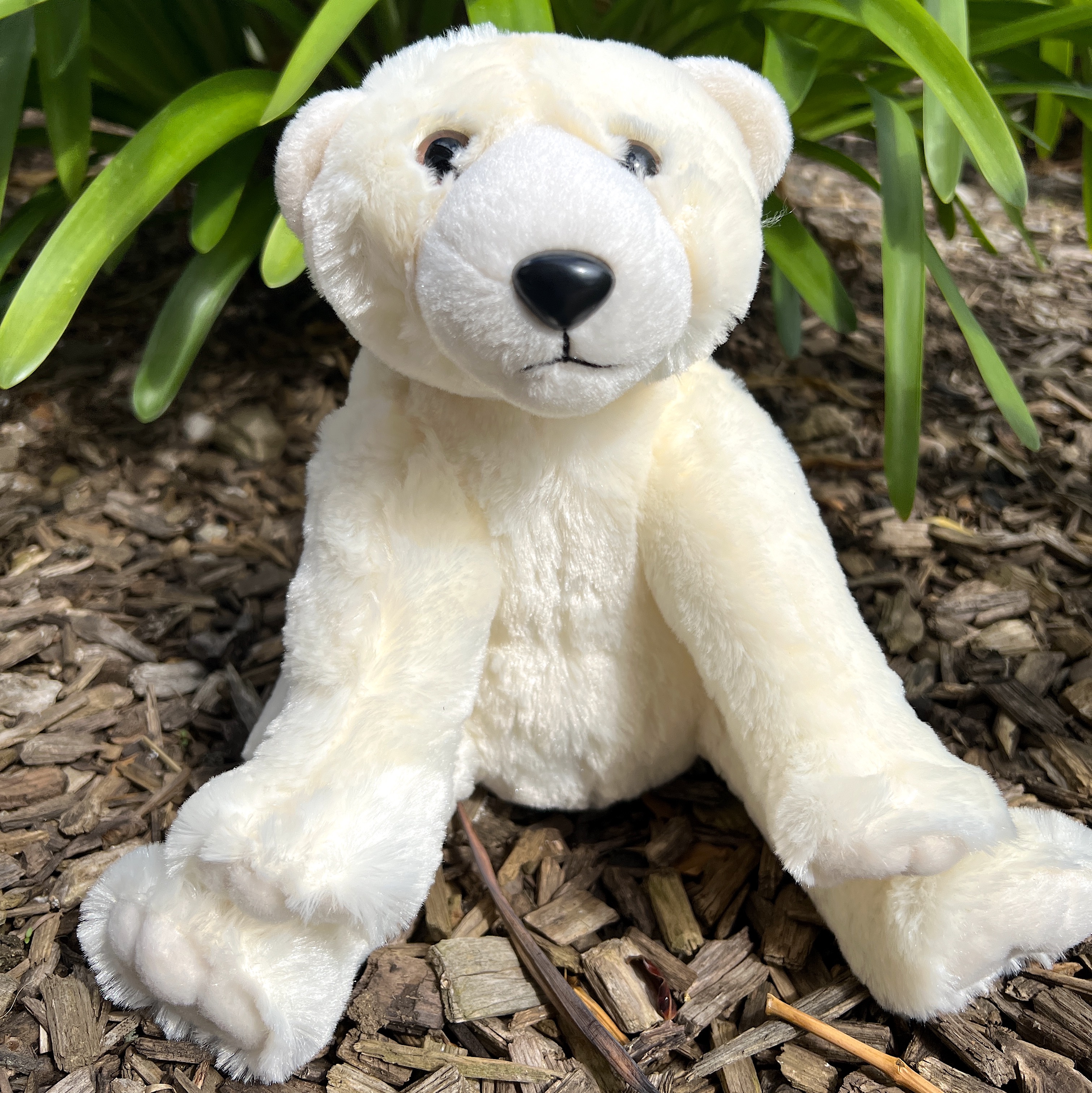 Large polar deals bear teddy