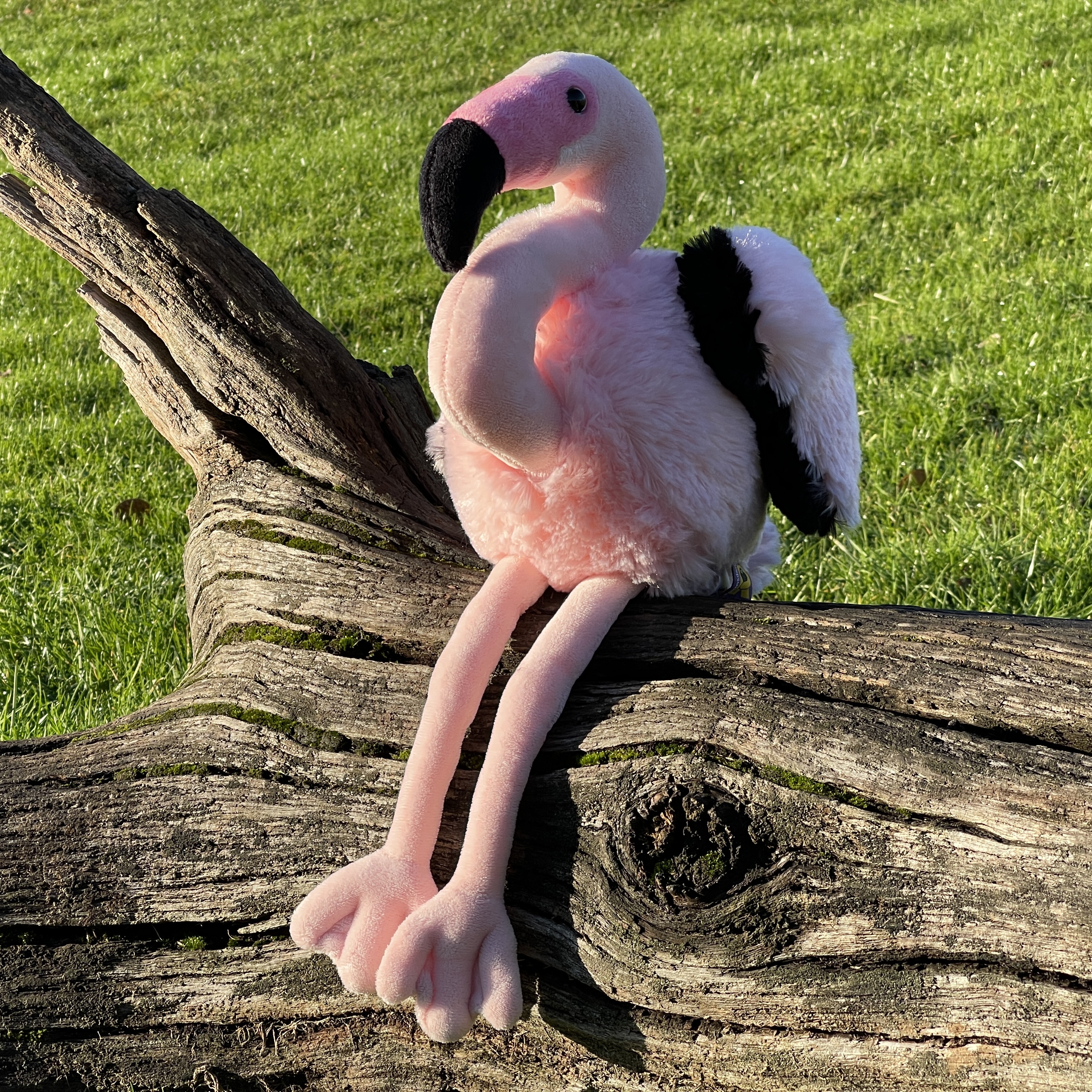 Pink flamingo soft sale toy