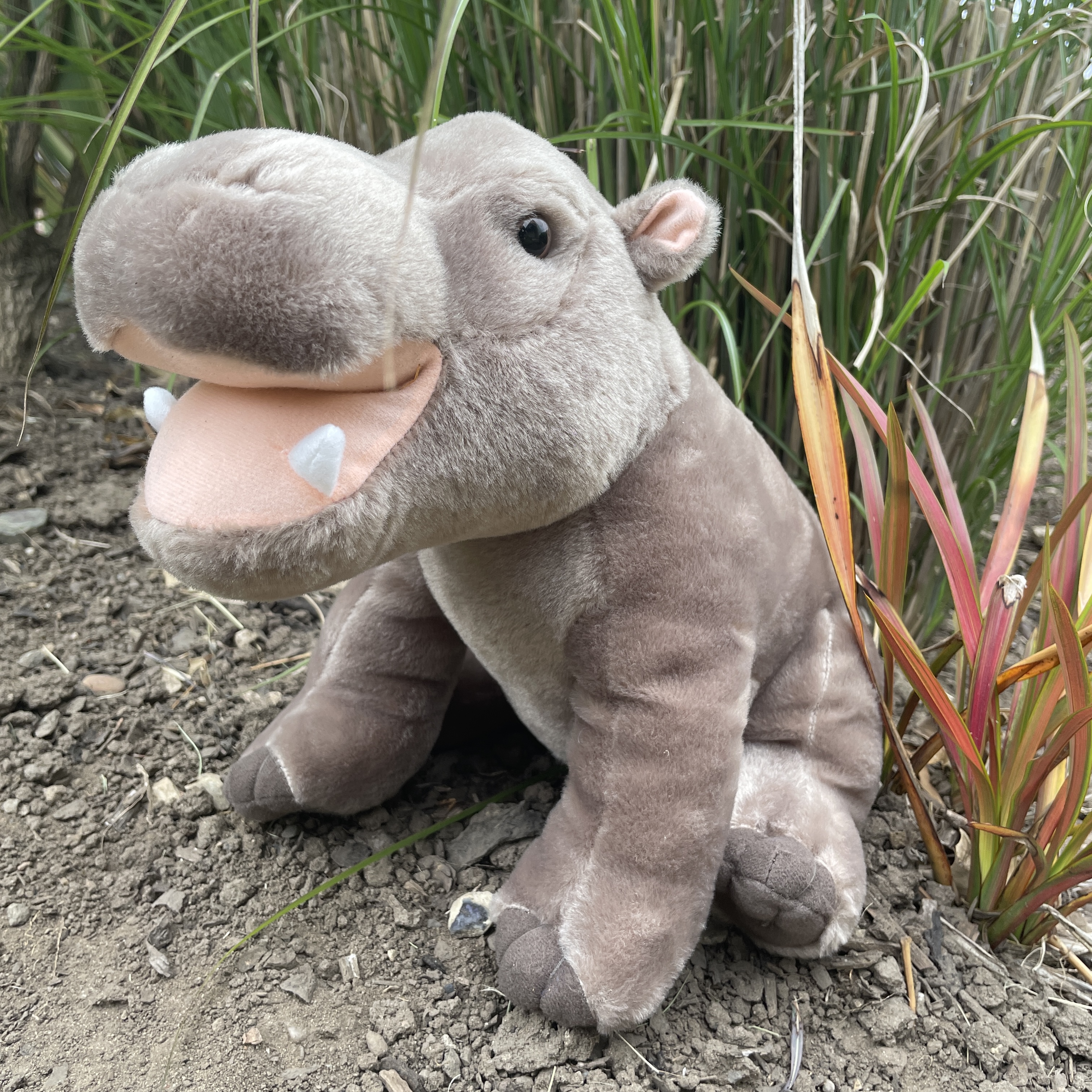 Giant plush hot sale hippo