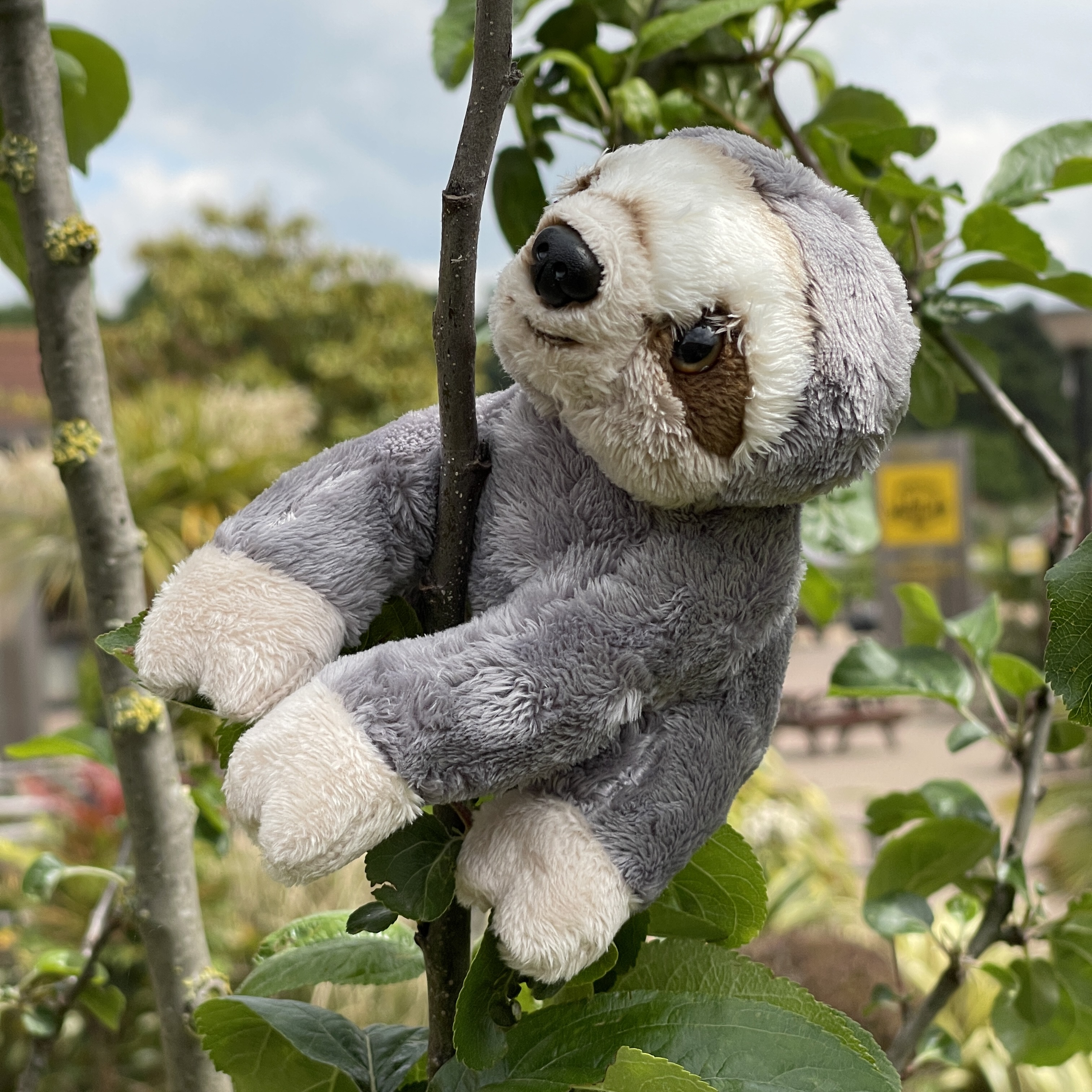 Sloth cuddly hot sale toy