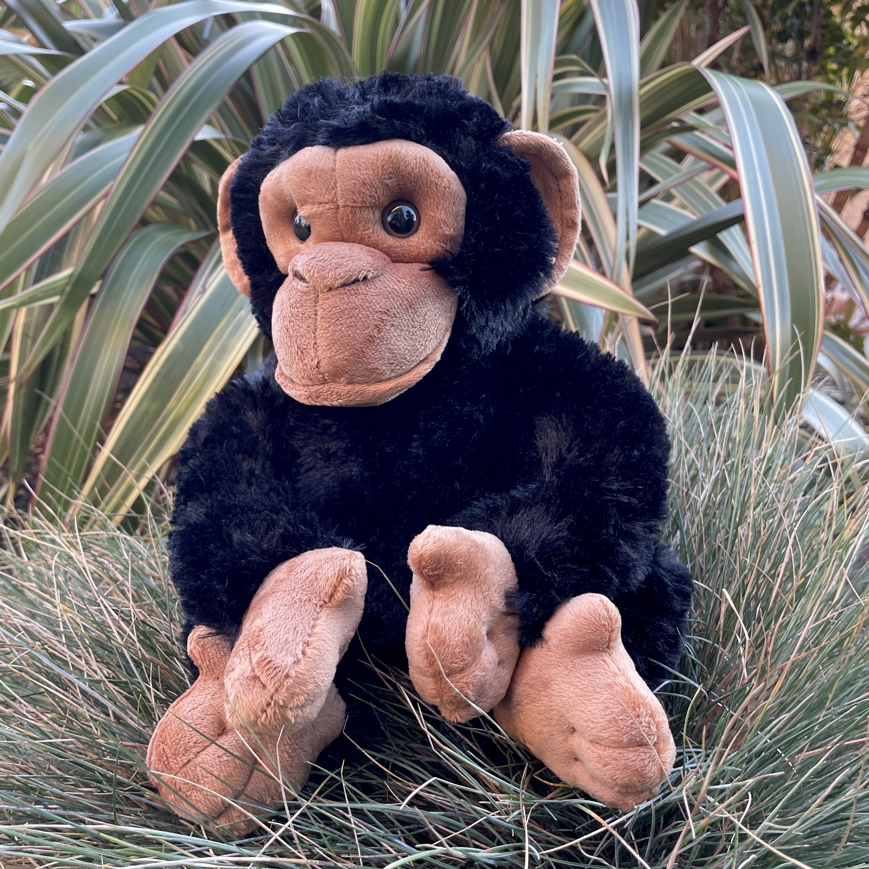 chimpanzee soft toys