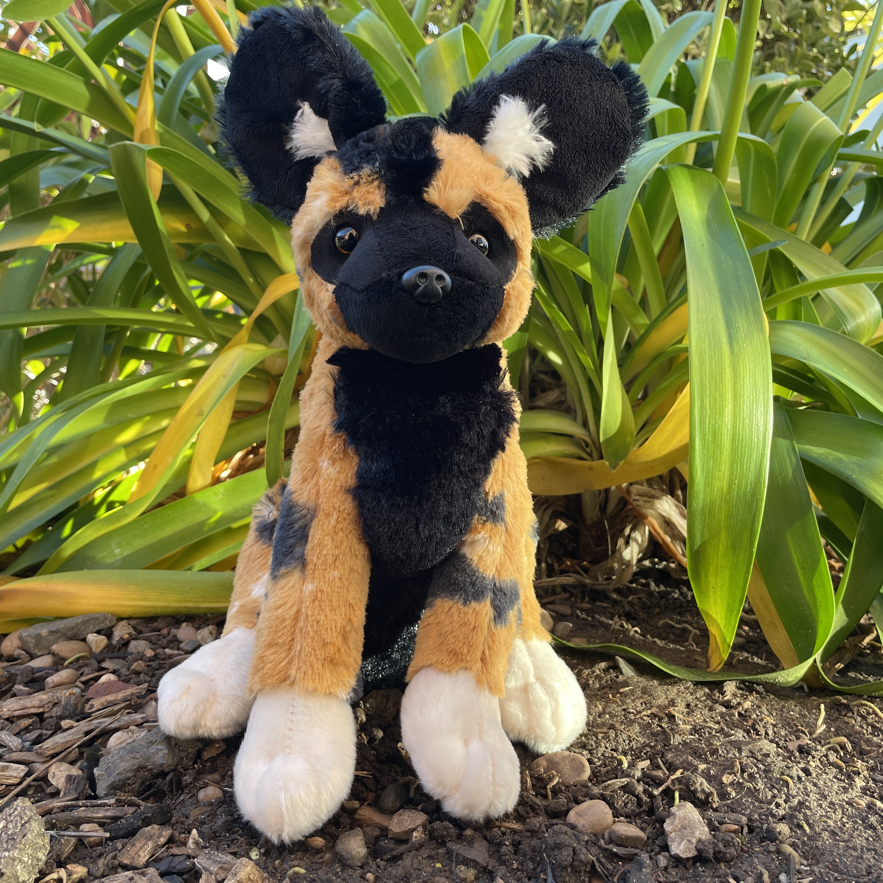 Wild dog online plush