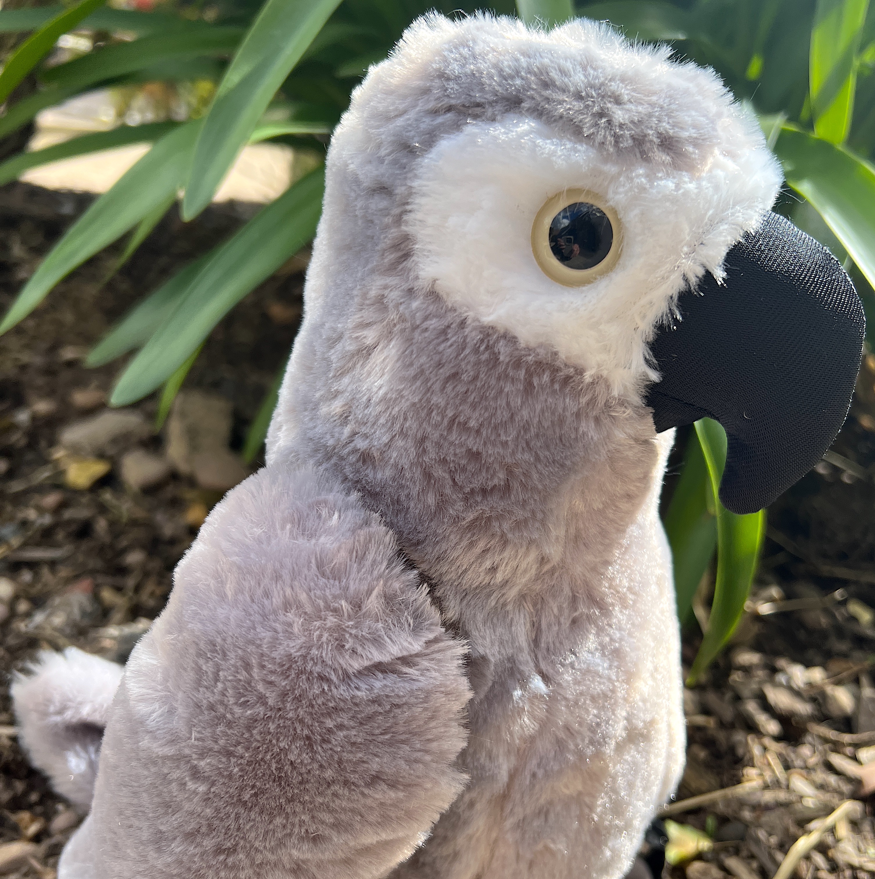 Stuffed african grey clearance parrot