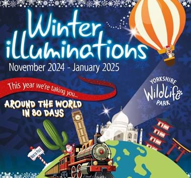 Winter Illuminations new visual - Nov 2024 - Jan 2025