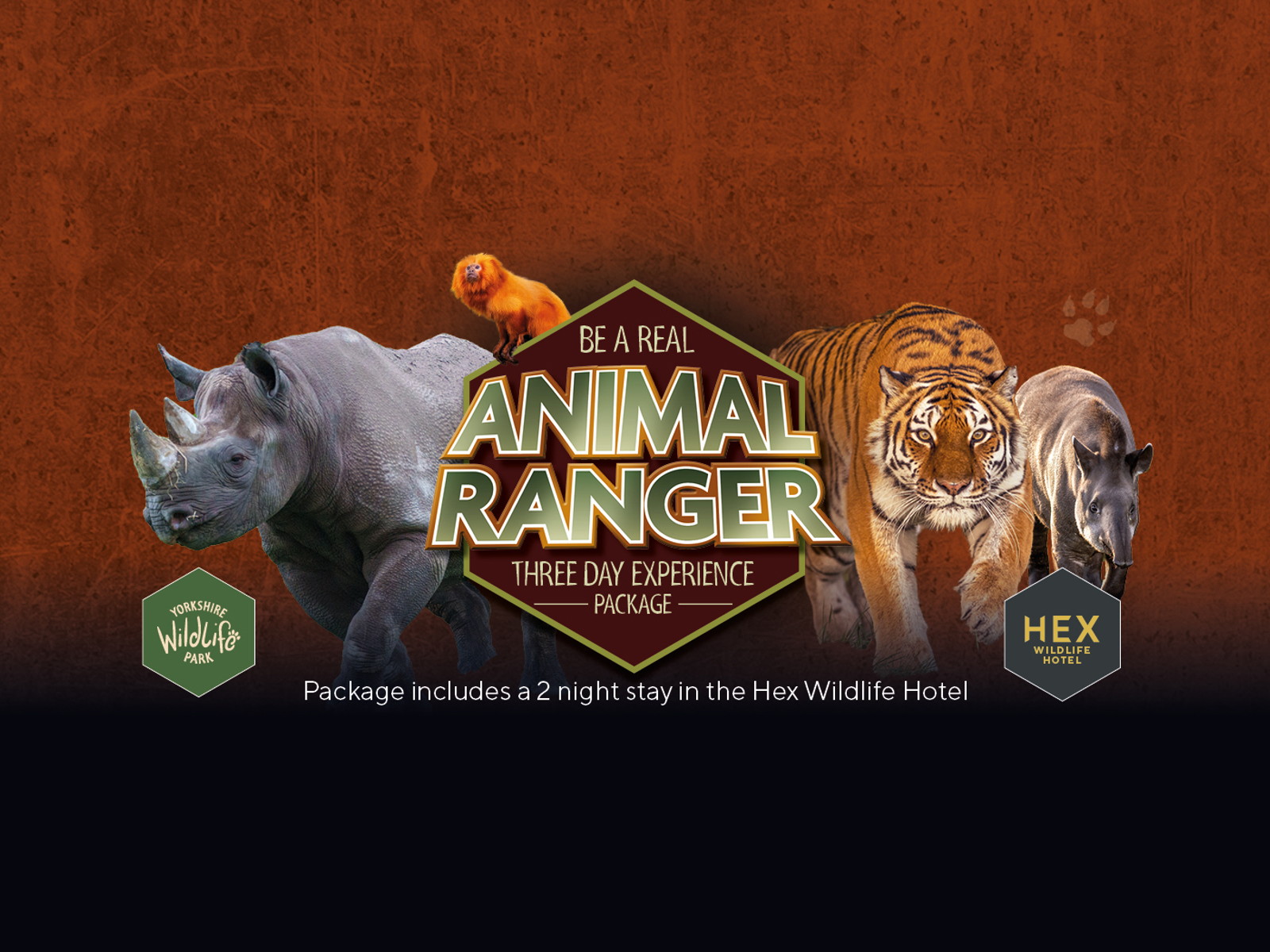 Ywp 2409 Web Carousel 3000 X 1050 Be A Real Ranger