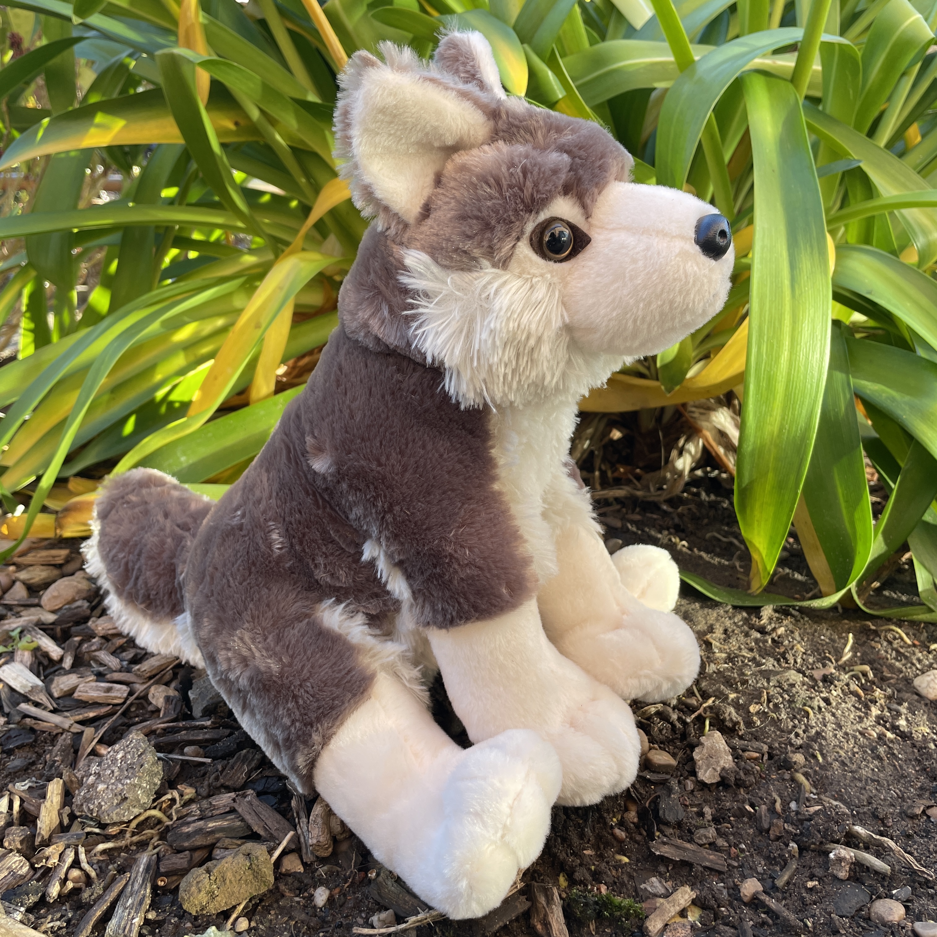 Wolf plush clearance toys