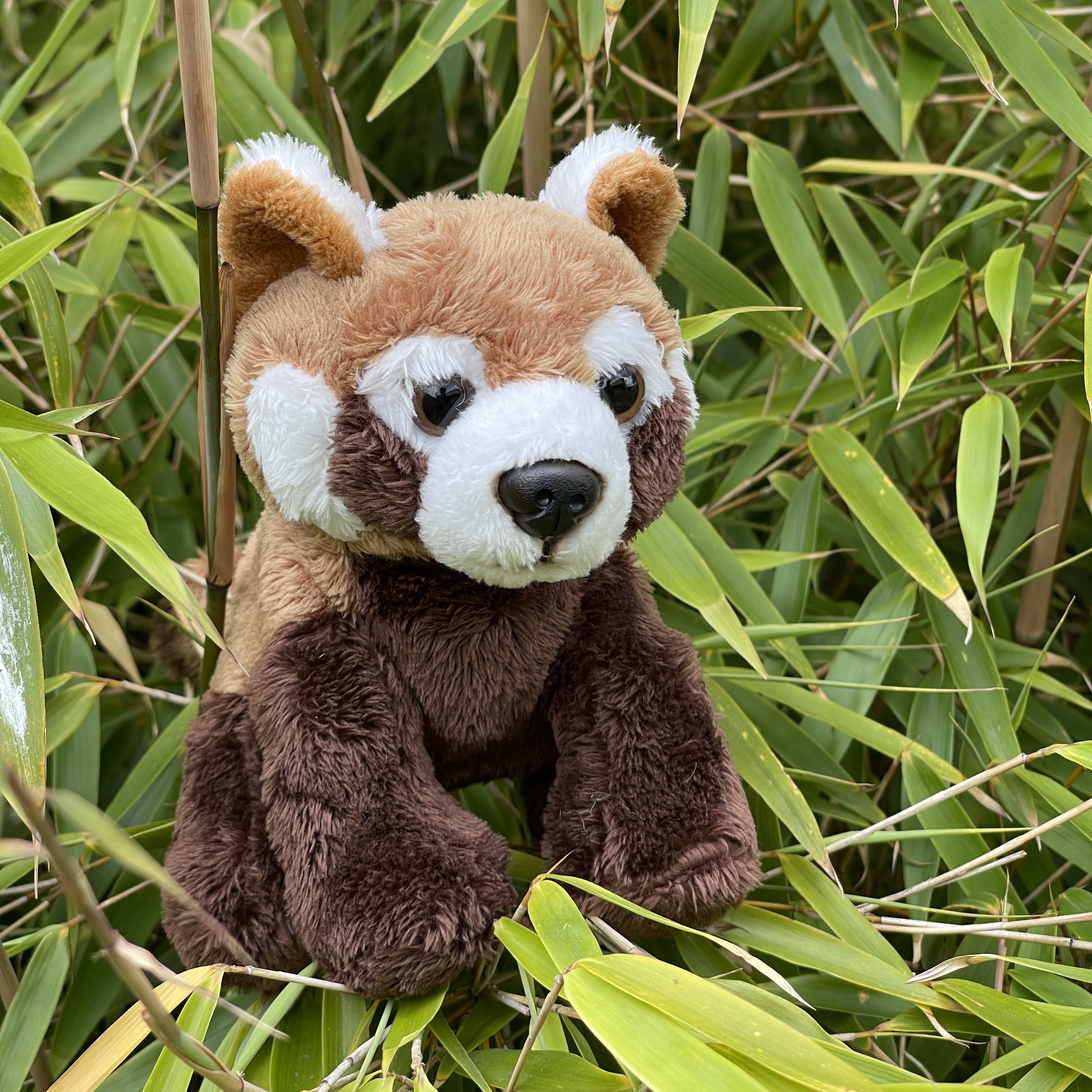 Red panda soft best sale toy